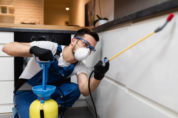 Best Wasp Removal Services  in Temesl Valley, CA