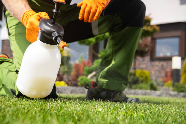 Best Pest Prevention Services  in Temesl Valley, CA